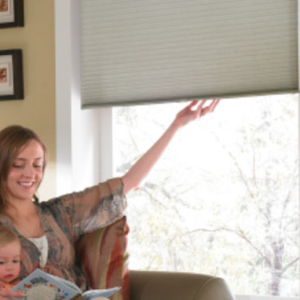 Cellular/Honeycomb Shades