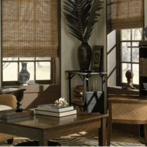 Bamboo/Woven Wood Shades