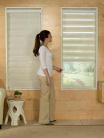 Room Darkening Sheer "Zebra" Roller Shades - Image 2